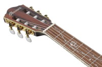 IBANEZ TOD10N-TKF TIM HENSON
