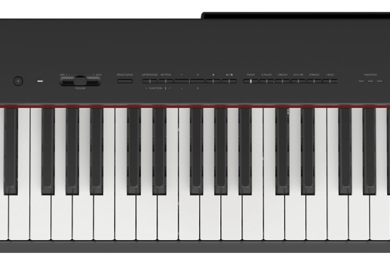 YAMAHA P-225B
