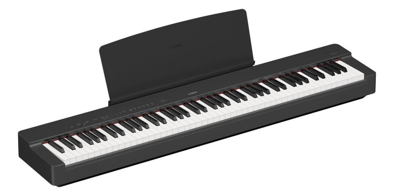 YAMAHA P-225B