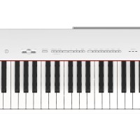 YAMAHA P-225WH