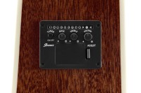 IBANEZ PF16WCE-NT