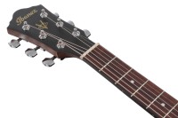 IBANEZ VC44CE-OPN