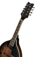 ORTEGA RMAE30-WB MANDOLINA ELEKTROAKUSTYCZNA