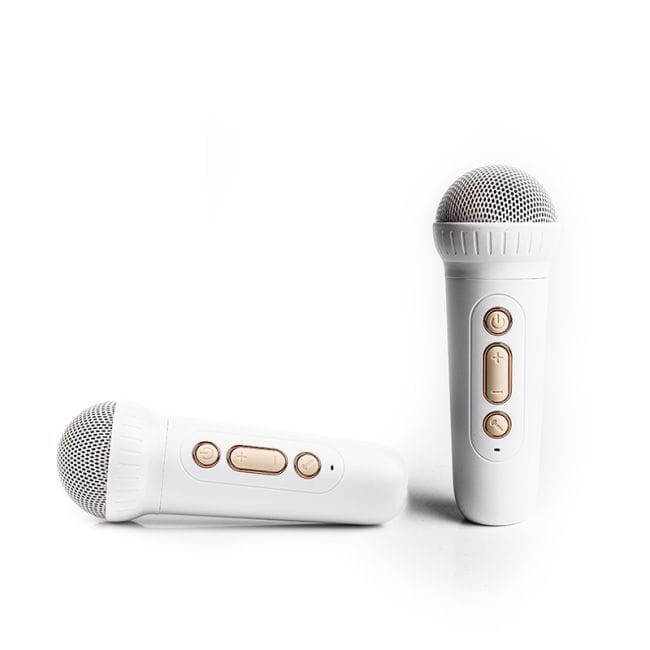 NN PM2 BEZPRZEWODOWY PRZENOŚNY ZESTAW KARAOKE 2 MIKROFONY GŁOŚNIK
