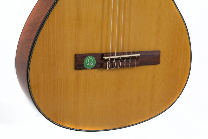 GEWA STUDENT SOLID TOP LITY ŚWIERK GITARA KLASYCZNA 4/4