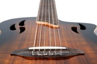 ORTEGA RTPDLX-ACA TOURPLAYER DELUXE GITARA ELEKTROKLASYCZNA