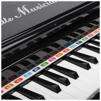 NN PIANINO KASIA BK CZARNE KEYBOARD KLAWISZE ORGANY FORTEPIAN Z MIKROFONEM DLA DZIECI