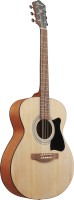 IBANEZ VC50NJP-OPN