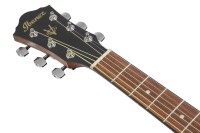 IBANEZ VC50NJP-OPN