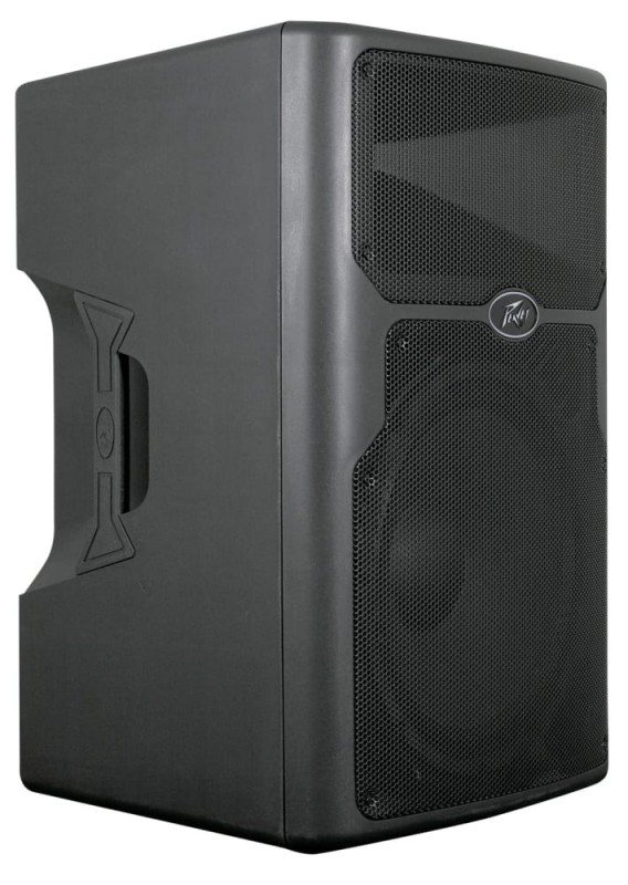 PEAVEY PVX12P