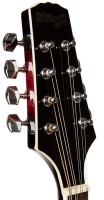 STAGG M50E MANDOLINA