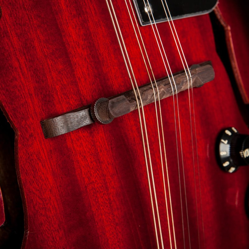 STAGG M50E MANDOLINA