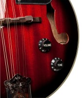 STAGG M50E MANDOLINA