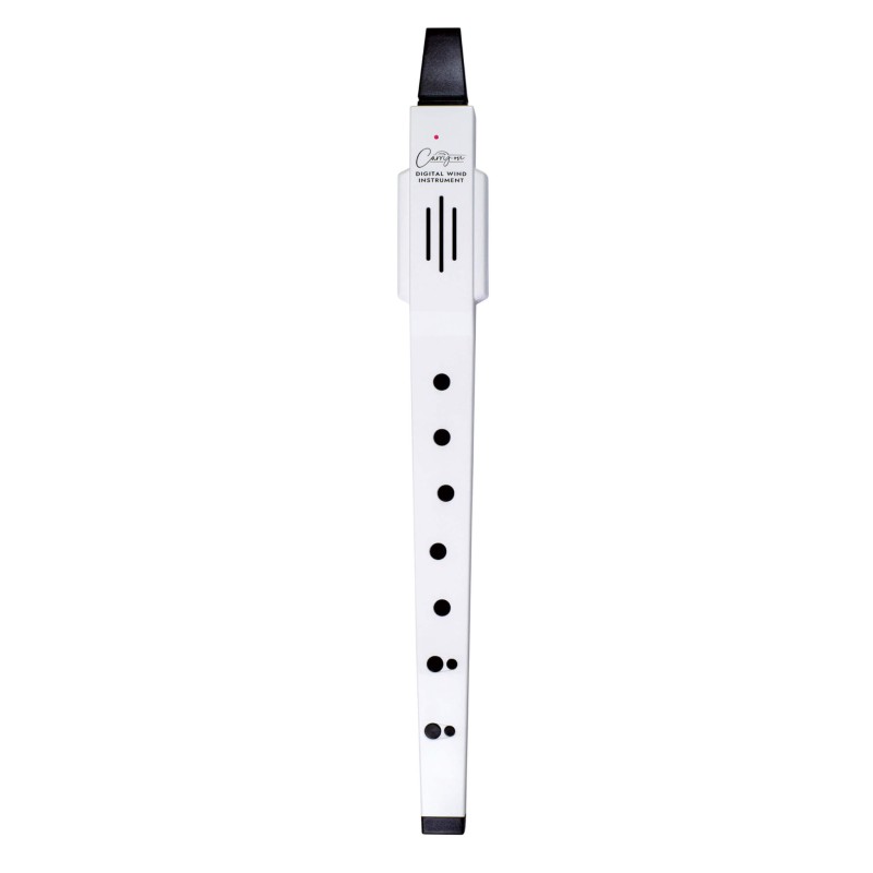 BLACKSTAR CARRY-ON BIAŁY CYFROWY INSTRUMENT DĘTY