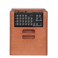 ACUS ONEFORSTRINGS 10 FERDI WOOD