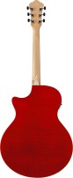 IBANEZ AE170-NTR