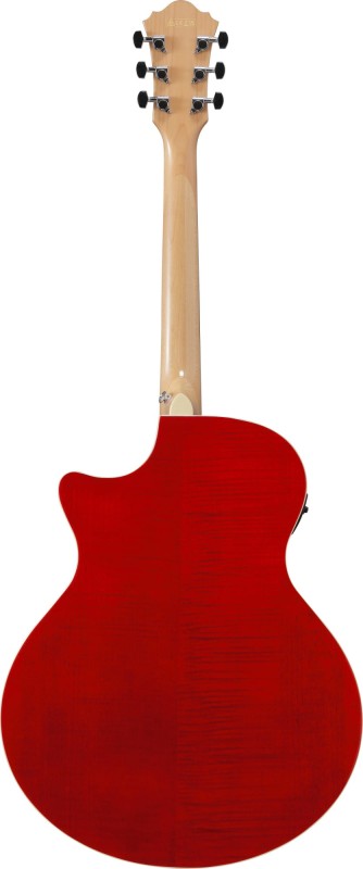 IBANEZ AE170-NTR