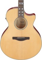 IBANEZ AE170-NTR