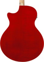 IBANEZ AE170-NTR