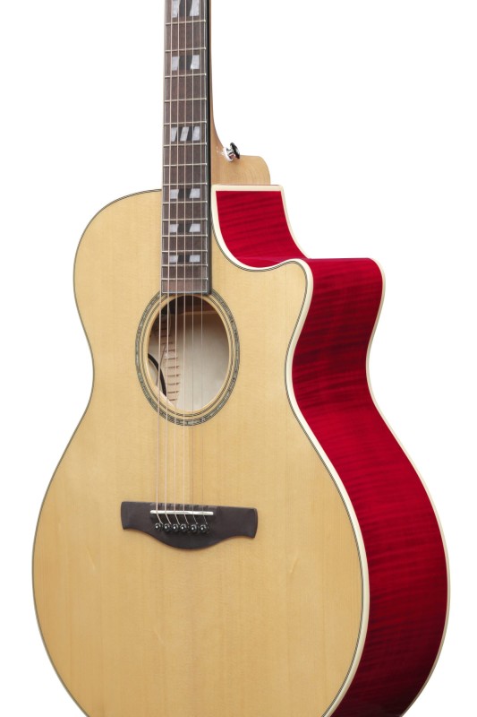 IBANEZ AE170-NTR