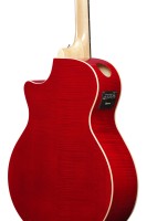 IBANEZ AE170-NTR