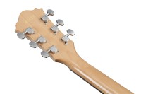 IBANEZ AE170-NTR