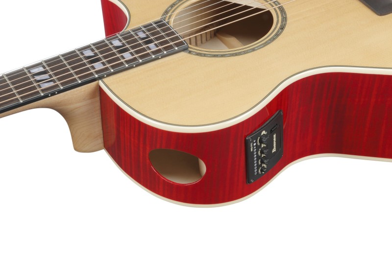 IBANEZ AE170-NTR