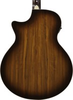IBANEZ AE160-VMS