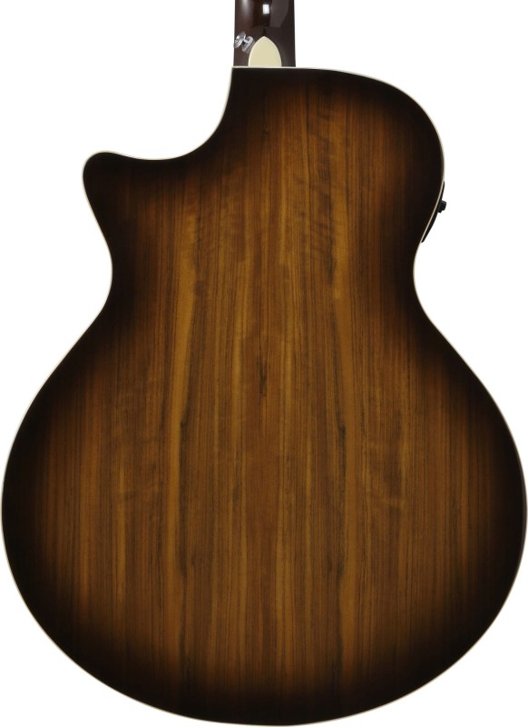IBANEZ AE160-VMS