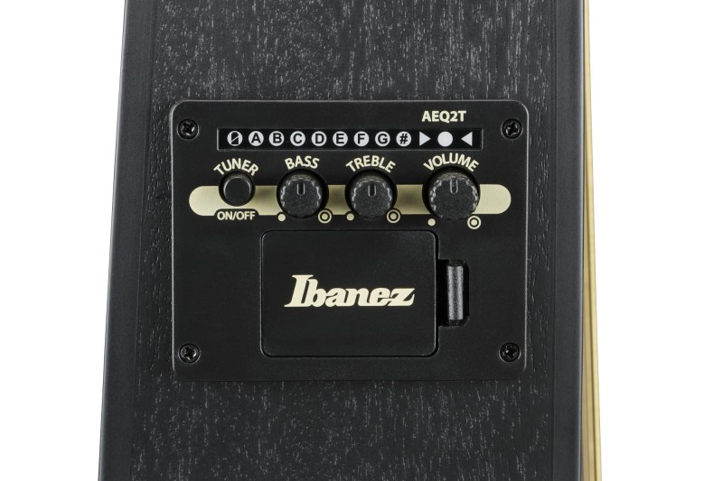 IBANEZ TCY621-BOT TALMAN