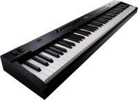 ROLAND RD-88EX