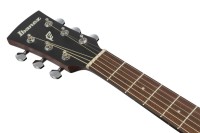 IBANEZ PJ50E-OAH SMD_8.jpg