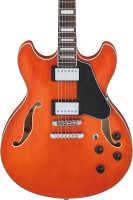IBANEZ AS73-TTF_4.jpg