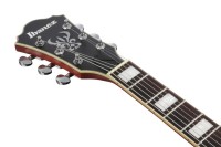 IBANEZ AS73-TTF_8.jpg