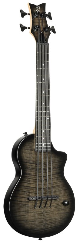 ORTEGA NEO-BS-TGB SKLEP MUZYCZNY DEMO_2.jpg