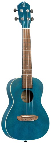 ORTEGA RUOCEAN SKLEP MUZYCZNY DEMO.jpg