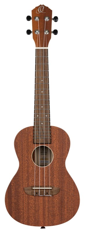 ORTEGA RFU11S SKLEP MUZYCZNY DEMO_3.jpg