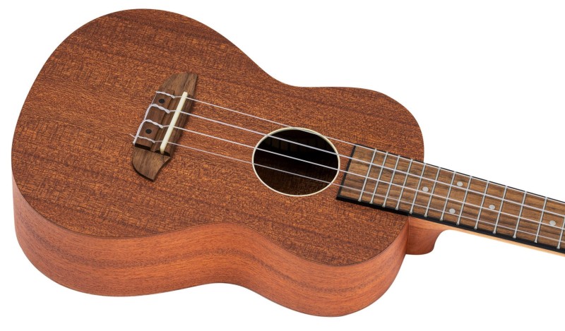 ORTEGA RFU11S SKLEP MUZYCZNY DEMO_9.jpg