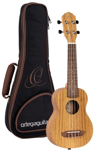 ORTEGA RFU10Z SKLEP MUZYCZNY DEMO.jpg