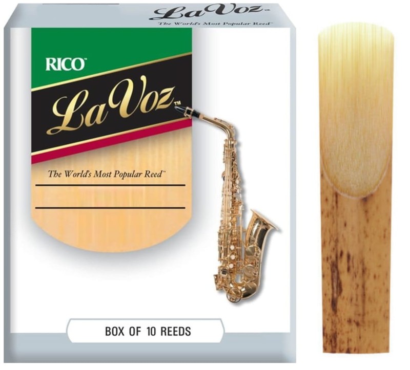 RICO LA VOZ SAX.jpg