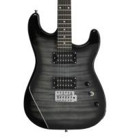V-TONE EGW 39 GY HH SKLEP MUZYCZNY DEMO_4.png