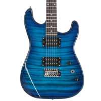 V-TONE EGW 39 BL SKLEP MUZYCZNY DEMO_4.png