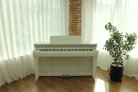 DYNATONE DPS-95 WH SKLEP MUZYCZNY DEMO_4.jpg