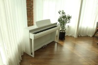 DYNATONE DPS-95 WH SKLEP MUZYCZNY DEMO_5.jpg