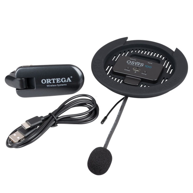 ORTEGA OSWS100 2.jpg