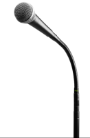 GRAVITY MS 23 XLR B STATYW Z GNIAZDEM XLR