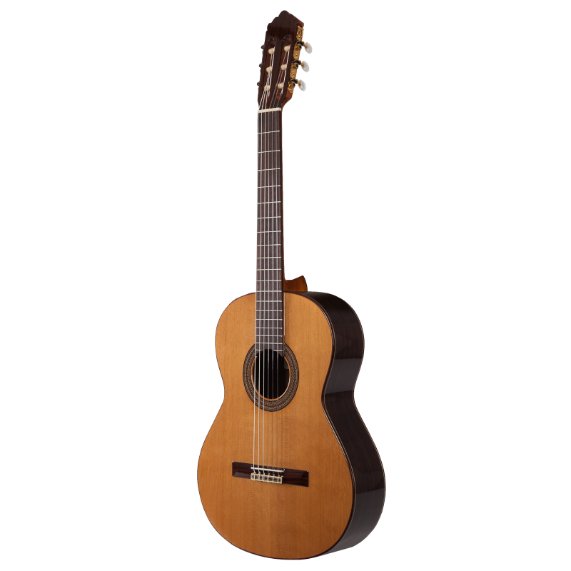 Prodipe Guitars Soloist 500 4/4 - gitara klasyczna