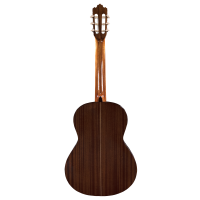 Prodipe Guitars Recital 300 4/4 - gitara klasyczna