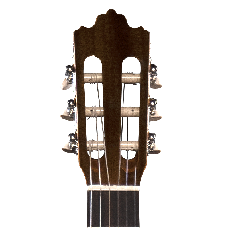 Prodipe Guitars Recital 300 4/4 - gitara klasyczna