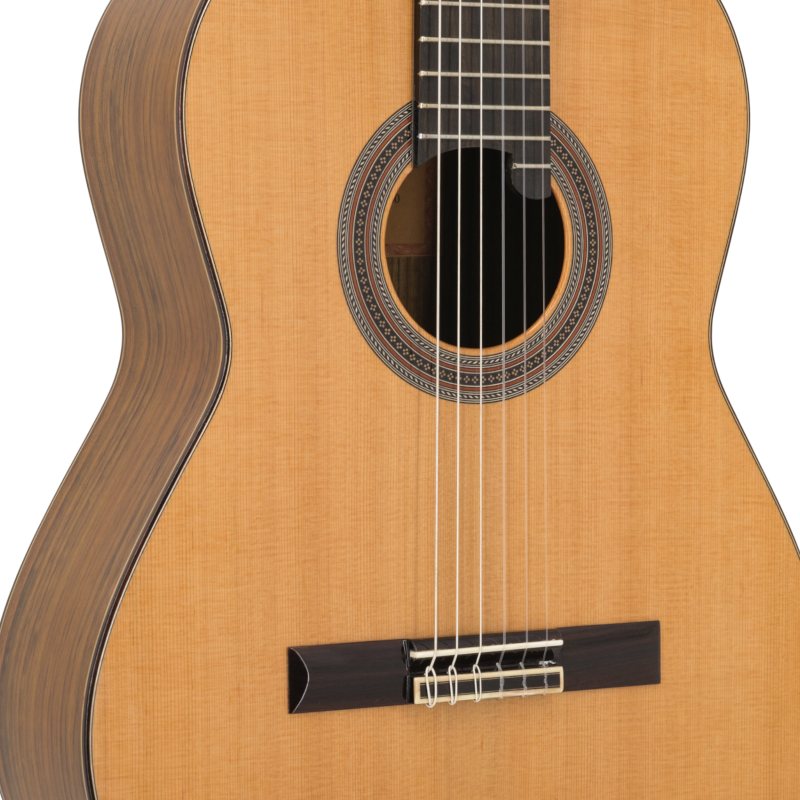 Prodipe Guitars Soloist 900 4/4 - gitara klasyczna